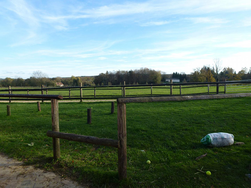 Pension pour chevaux L'Aigle