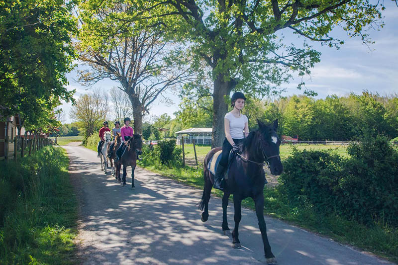 Balade à cheval L'Aigle