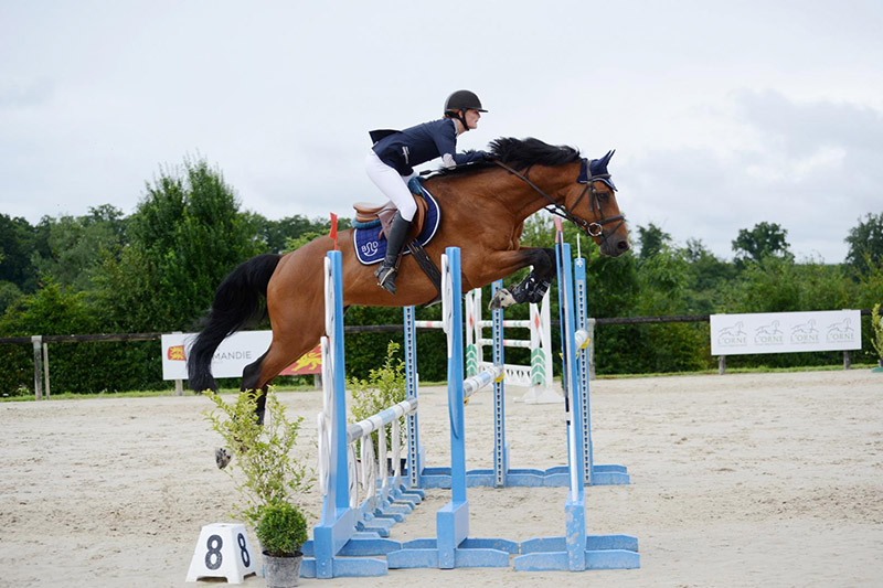 Concours équestre L'Aigle