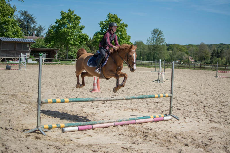 Centre d'équitation L'Aigle