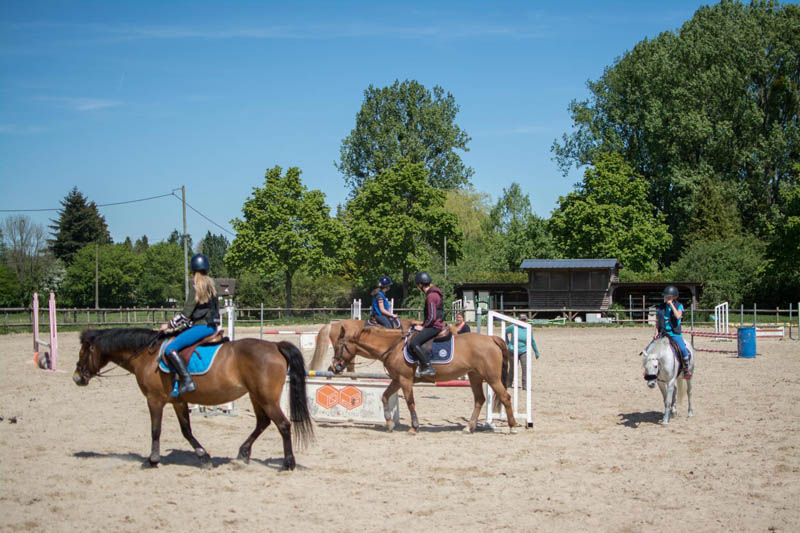 Balade à cheval L'Aigle