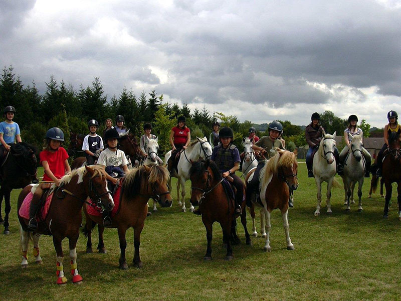 Concours équestre L'Aigle
